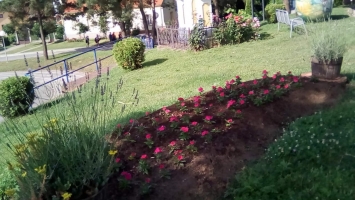 IMG-ced4583b76cae758c727e06092a9aded-V