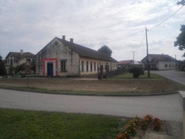 Fotka 6