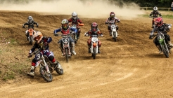 Domi-99